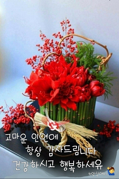 감사.png
